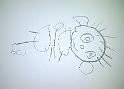 2014_p_018