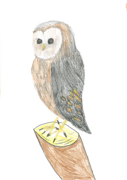 2016_091