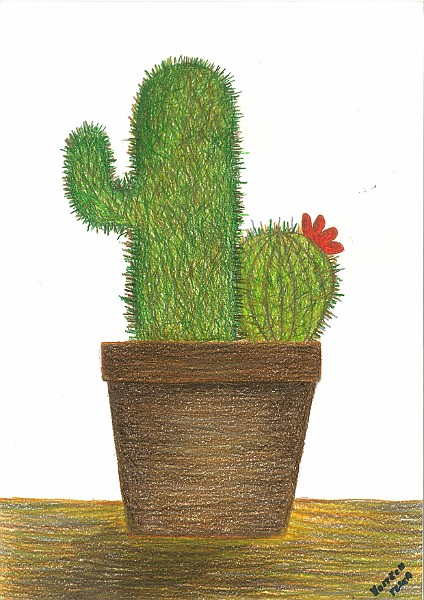 2019_003