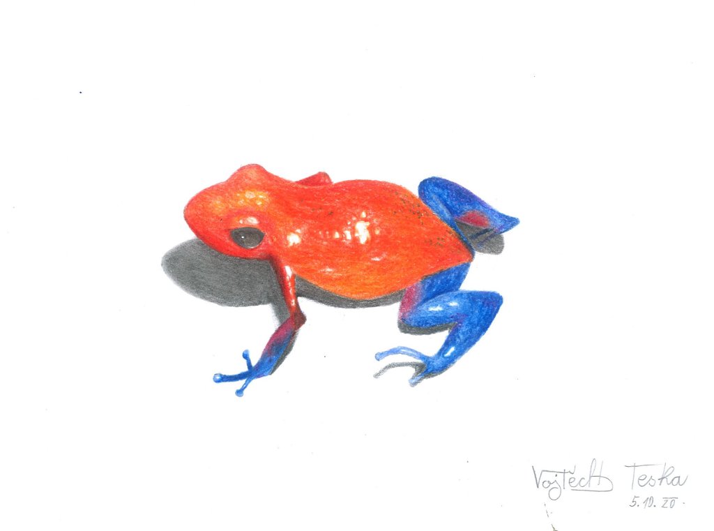 2020_045