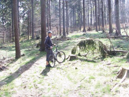 domazlice69
